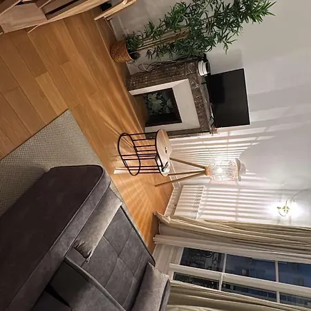 Apartment 16